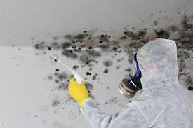 Biohazard Mold Removal in Double Springs, AL